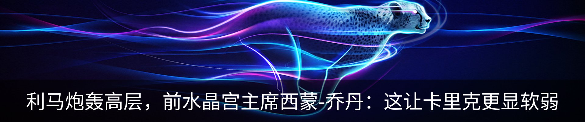 新闻动态